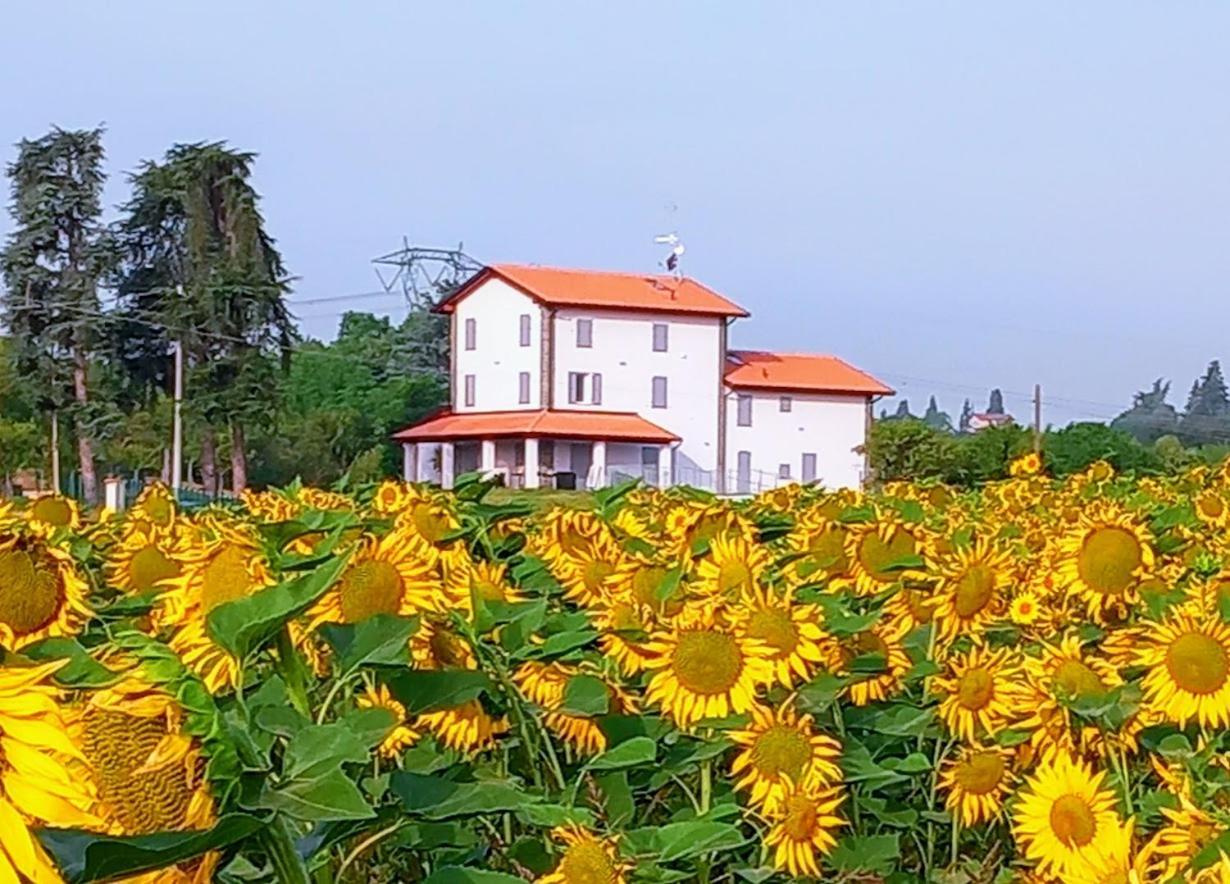 La Collinetta B&B Crespellano Exterior photo