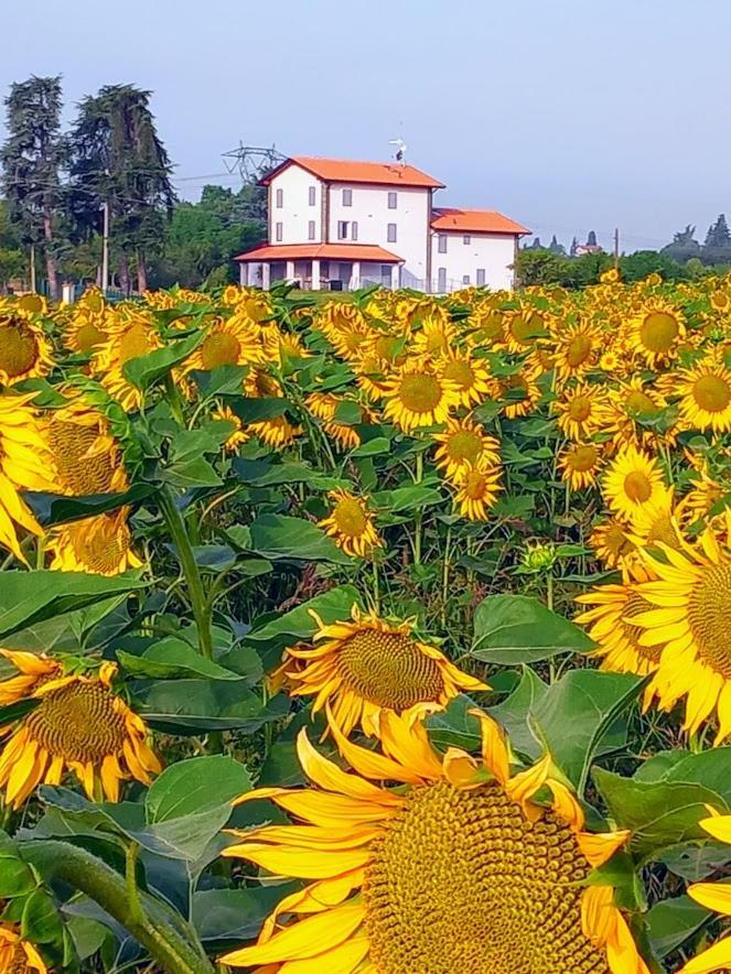 La Collinetta B&B Crespellano Exterior photo
